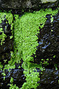 BUITEN BEELD Foto: 448481