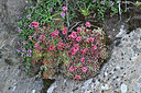 BUITEN BEELD Foto: 448482