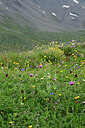 BUITEN BEELD Foto: 448483