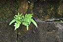 BUITEN BEELD Foto: 448486