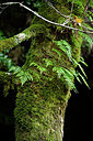 BUITEN BEELD Foto: 448488