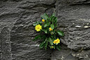 BUITEN BEELD Foto: 448489