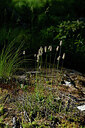 BUITEN BEELD Foto: 448492
