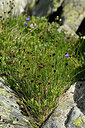 BUITEN BEELD Foto: 448493