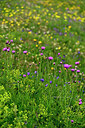 BUITEN BEELD Foto: 448497