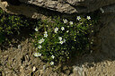 BUITEN BEELD Foto: 448499