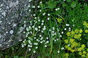 BUITEN BEELD Foto: 448506