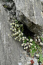 BUITEN BEELD Foto: 448511