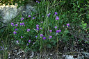 BUITEN BEELD Foto: 448515