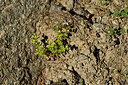 BUITEN BEELD Foto: 448517