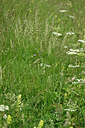 BUITEN BEELD Foto: 448521