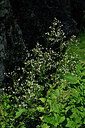 BUITEN BEELD Foto: 448524