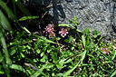 BUITEN BEELD Foto: 448526