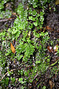 BUITEN BEELD Foto: 448530