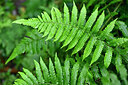 BUITEN BEELD Foto: 448532