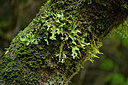 BUITEN BEELD Foto: 448533