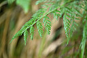 BUITEN BEELD Foto: 448535