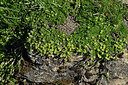 BUITEN BEELD Foto: 448540