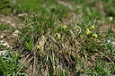 BUITEN BEELD Foto: 448544