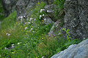 BUITEN BEELD Foto: 448545