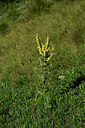 BUITEN BEELD Foto: 448552