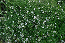 BUITEN BEELD Foto: 448557