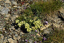 BUITEN BEELD Foto: 448558