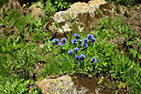 BUITEN BEELD Foto: 448559