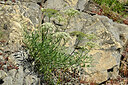 BUITEN BEELD Foto: 448563