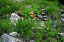 BUITEN BEELD Foto: 448566