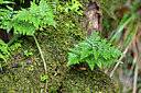 BUITEN BEELD Foto: 448569