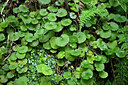 BUITEN BEELD Foto: 448573