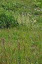 BUITEN BEELD Foto: 448576