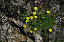 BUITEN BEELD Foto: 448586