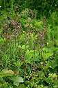 BUITEN BEELD Foto: 448587