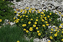 BUITEN BEELD Foto: 448588