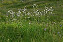 BUITEN BEELD Foto: 448592