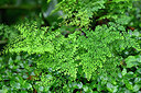 BUITEN BEELD Foto: 448594