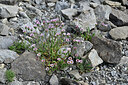BUITEN BEELD Foto: 448597