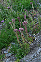 BUITEN BEELD Foto: 448598