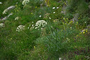 BUITEN BEELD Foto: 448600