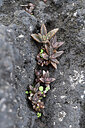 BUITEN BEELD Foto: 448602