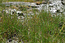 BUITEN BEELD Foto: 448603