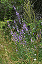 BUITEN BEELD Foto: 448604
