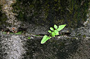 BUITEN BEELD Foto: 448605