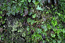 BUITEN BEELD Foto: 448610