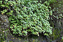 BUITEN BEELD Foto: 448613