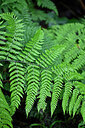 BUITEN BEELD Foto: 448615