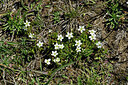 BUITEN BEELD Foto: 448616