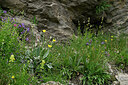 BUITEN BEELD Foto: 448618